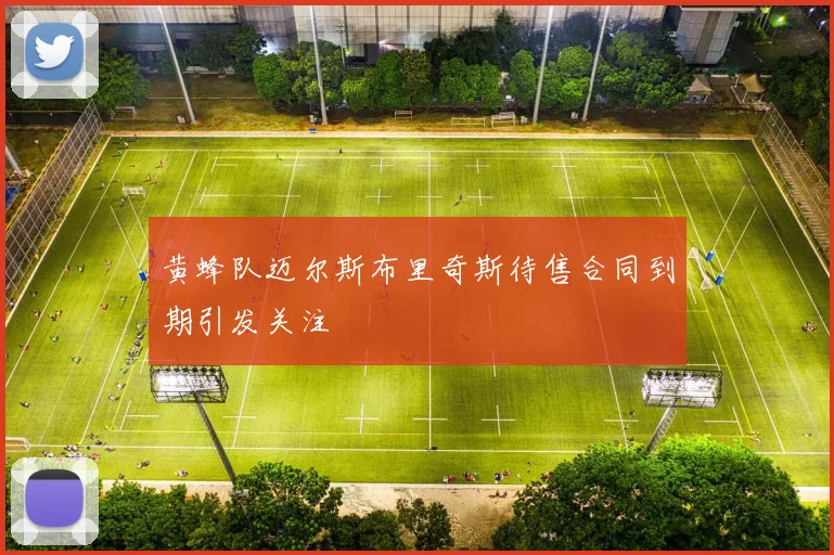 黄蜂队迈尔斯布里奇斯待售合同到期引发关注