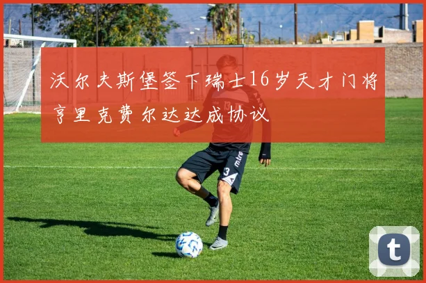 沃尔夫斯堡签下瑞士16岁天才门将亨里克费尔达达成协议