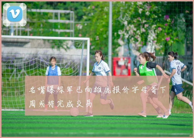 名嘴曝绿军已向雄鹿报价字母哥下周或将完成交易