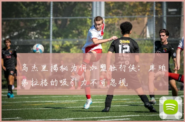 乌杰里揭秘为何加盟独行侠：库珀弗拉格的吸引力不可忽视